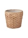 Generic Plant Pot Water Hyacinth