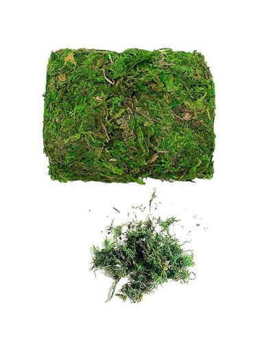 Fake Moss,100G Artificial Moss Green Moss for Craft Life-Like Garden Lawn Grass for Home Garden Patio Decoration Potted Plant Centerpieces Terrariums Decor