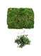 Fake Moss,100G Artificial Moss Green Moss for Craft Life-Like Garden Lawn Grass for Home Garden Patio Decoration Potted Plant Centerpieces Terrariums Decor