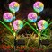 Excefore Solar Lights Outdoor Garden Decor, 2 Pack Upgraded Dandelion Design with 36 Colorful LEDs - Illuminate Your Garden with Solar Path Lights - Waterproof