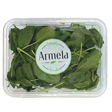 أرميلا خس سالانوفا أوكليف أخضر 300 غرام