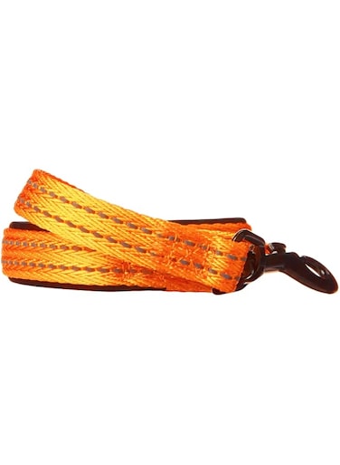 Alcott Adventure Visibility Essentials Leash, Small, Neon-Orange