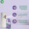 Air Wick Automatic Air Freshener Spray Refill, Lavender &amp; Chamomile Scent, 250ml Pack of 2