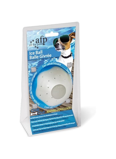 All For Paws Chill Out Ice Ball Dog Chew Toy, Medium, 3 Kg