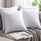 Home Luxury Cushion Filler, Decorative Pillow Inserts (Pack of 4, White) - Square Indoor Bed and Couch Pillows - Hollowfibre Cushion Fillers (Pack of 4, 65 x 65 cm)