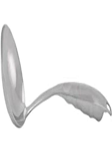 Berger Stainless Steel Soup Ladle, Silver - Sa002