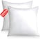 CRAFT&Acirc;&reg; Soft Cushion Fillers with Breathable Microfiber Filling - Set of 2 Cushion Inner Pads (18" X 18")