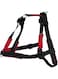 Trixie Lead n Walk Soft Training Black Harness for Dogs S-M