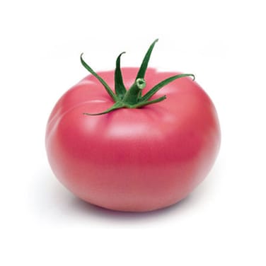 Tomato Pink