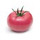 Tomato Pink