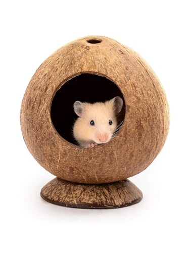 THE WHITE SHOP Coconut Hut Hamster House Bed for Gerbils Mice Hamster Coconut Nesting Supplies Small Animal Cage Habitat Decor
