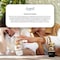 Sapil Bound Eau De Perfum White 100ml