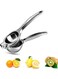 Steel Lemon Squeezer Silver