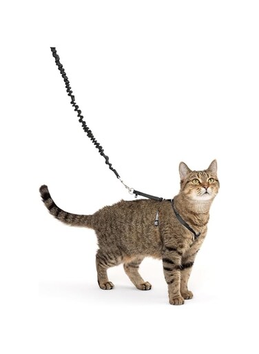 PetSafe Come With Me Kitty Harness and Bungee Leash, Harness for Cats, Medium, Black/Silver