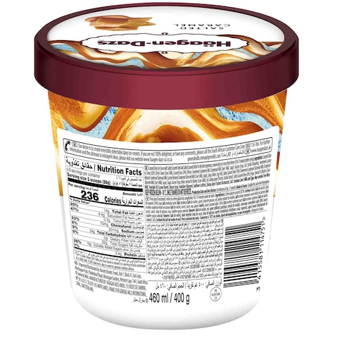 Haagen Dazs Salted Caramel Ice Cream 460ml