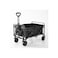 Collapsible Folding Wagon, Large Capacity, Heavy Duty, Portable, for Sports, Shopping, Camping