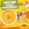 Nestle Maggi Lentil Soup 84g