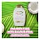 Ogx Extra Strength Damage Remedy+ Coconut Miracle Oil Shampoo 385ml Pack of 2
