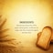 Carrefour Original Wholemeal Rusks, 270g