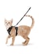 Orchid M TIM Cat Harness and Leash for Walking, Escape Proof Soft Adjustable Vest Harnesses for Cats, Easy Control Breathable Jacket (XS)