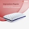 Sleepwell Impression Regular Moulded Foam Pillows For Painfree Head And Neck Support