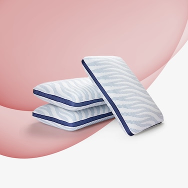 Sleepwell Impression Regular Moulded Foam Pillows For Painfree Head And Neck Support