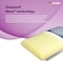 Sleepwell Nexa Regular Pillow For Comfortable Head And Neck Support