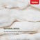 Kurlon Earth Spring Mattress   3-Zone Pocket Spring Mattress   Medium-Firm Support    Natural Latex   Ideal for Spinal Alignment   King Size Mattress  200Lx180Wx25H Cms