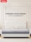 Kurlon Spring Rest Pocket Premium Mattress   Pocket Spring Mattress   Medium Firm Support   HR Foam, Natural Latex, Memory Foam   Twin Size Mattress  200Lx120Wx25H Cms    10 Yrs Warranty