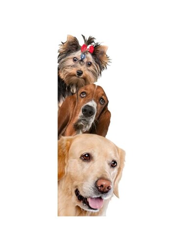 azzeell Removable 3D Cute Dog Cat Wall Sticker Switch Decal Mural Art Decor Poster Background Wallpaper(2#)