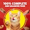 Purina Friskies Turkey Chunks in Gravy Wet Cat Food Pouch, 85g