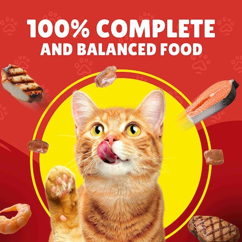 Purina Friskies Turkey Chunks in Gravy Wet Cat Food Pouch, 85g