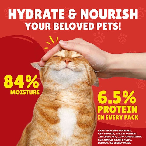 Purina Friskies Turkey Chunks in Gravy Wet Cat Food Pouch, 85g