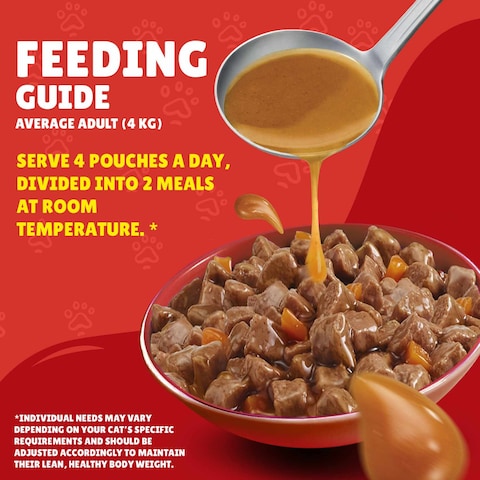 Purina Friskies Turkey Chunks in Gravy Wet Cat Food Pouch, 85g