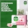 Dettol Skincare Bar Soap Rose and Sakura Blossom Scent 120g Pack of 4