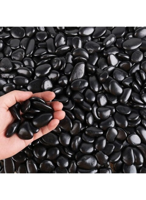 CJGQ Black Pebbles for Plants 3lb Bulk Bag 1&quot;- 1.5&quot; Aquarium Gravel Decorative Polished Stone Natural River Rocks for Fish Tank