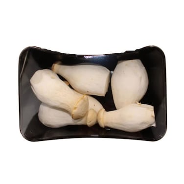 Mushroom King Oyster Prepack