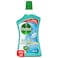 Dettol Antibacterial Floor Cleaner Fresh Aqua Scent, 900ml
