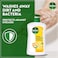 Dettol Fresh Anti-Bacterial Hand Wash, Citrus &amp; Orange Blossom Scent,400ml Pack of 2