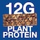 BE-KIND Dark Chocolate Protein Bar, 12g Plant Protein, Pack of 12x50g