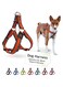 DOCO&reg; Athletica Air Step-In Harness (DCA202) Sizes - M, Color - Safety Orange