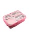 Bento Lunch Boxes, Leak Proof Stainless Steel Lunch Box for Kids, BPA Free Bento Box for Kids and Adults   Tiffin Box for Office and School (Pink, 950 ML, 4 Compartment)