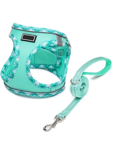 Bolivia's Dog Harness and Leash Set, Soft Mesh Dog Harness and Leash Set with Safety Buckle, No-Chock Step-In Reflective Breathable Lightweight Easy Walk Escape Proof Vest Harnesses(Light Green, S)