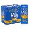 Rani Float No Added Sugar Mango Mixed Fruit Drink, 240ml Pack of 6