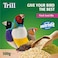 Trill Finch Seed Mix 500g, Bird Food