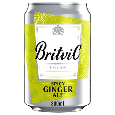 Britvic Spicy Ginger Ale 300ml