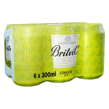 Britvic Ginger Ale 300ml Pack of 6