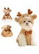 Tazweeq Dog Cape Coat with D-Ring,Cat Costume Thickened Elk Cloak,Hat Dog Outfit Warm,Puppy Clothes for Small Dog,Pet Cloak for Cat(Brown, Large)