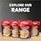 Kellogg&#39;s Granola Mixed Fruit with Coconut Cereal, 340g