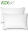 2 Pack Hotel Collection Bed Pillows for Sleeping Queen Size Pillows for Side and Back Sleepers Super Soft Down Alternative Microfiber Filled Pillows 48*74CM